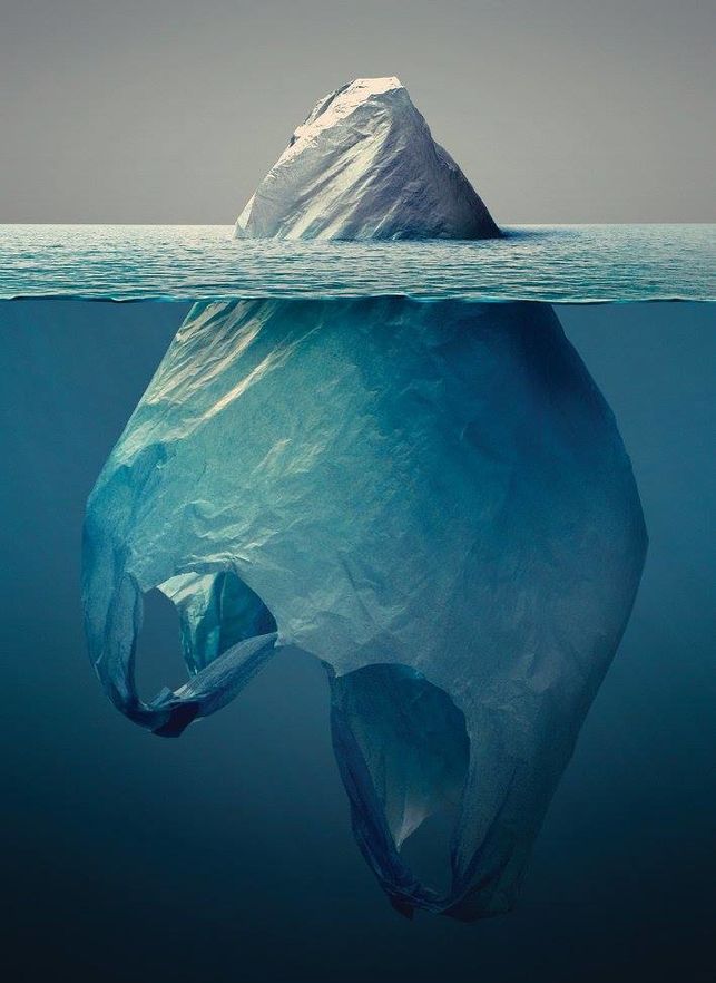 Iceberg plástico bolsa